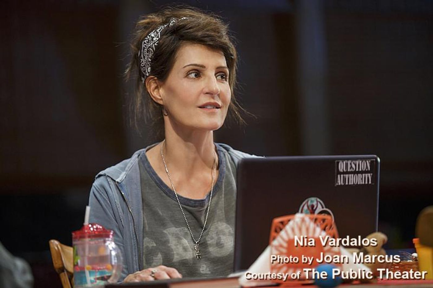 Interview: It's No TINY BEAUTIFUL THING for Nia Vardalos - Whether Acting Or Writing, Theatre Or Movies  Image