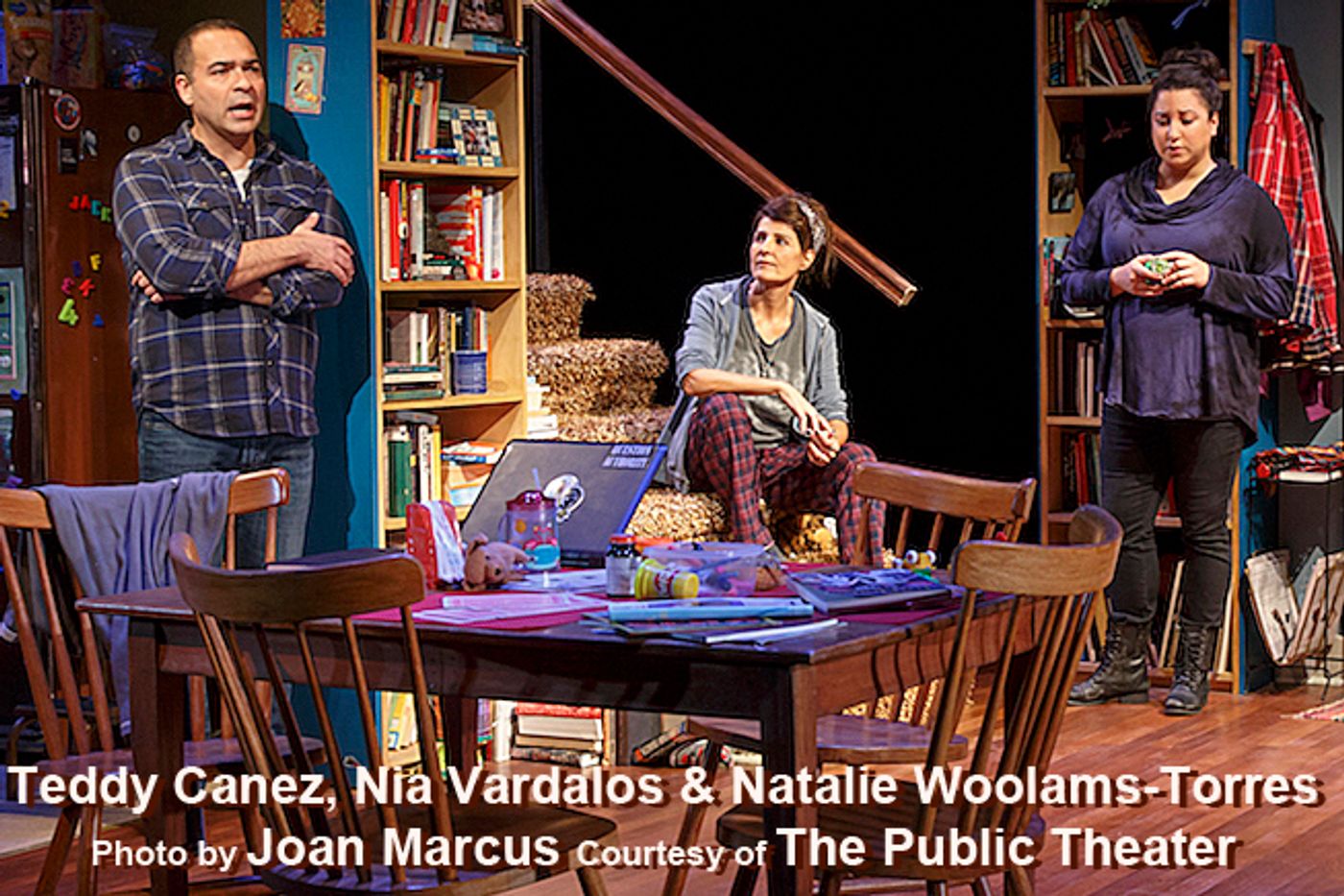 Interview: It's No TINY BEAUTIFUL THING for Nia Vardalos - Whether Acting Or Writing, Theatre Or Movies  Image