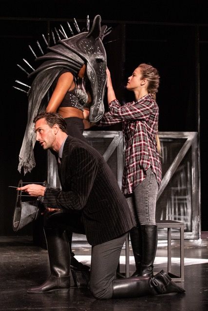 Review: Onstage Magnetism of Outstanding Duo in EQUUS at Theatre On The Bay  Image