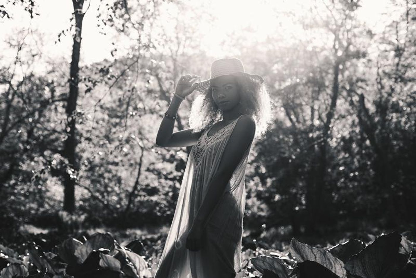 BWW Blog: Influence  Image