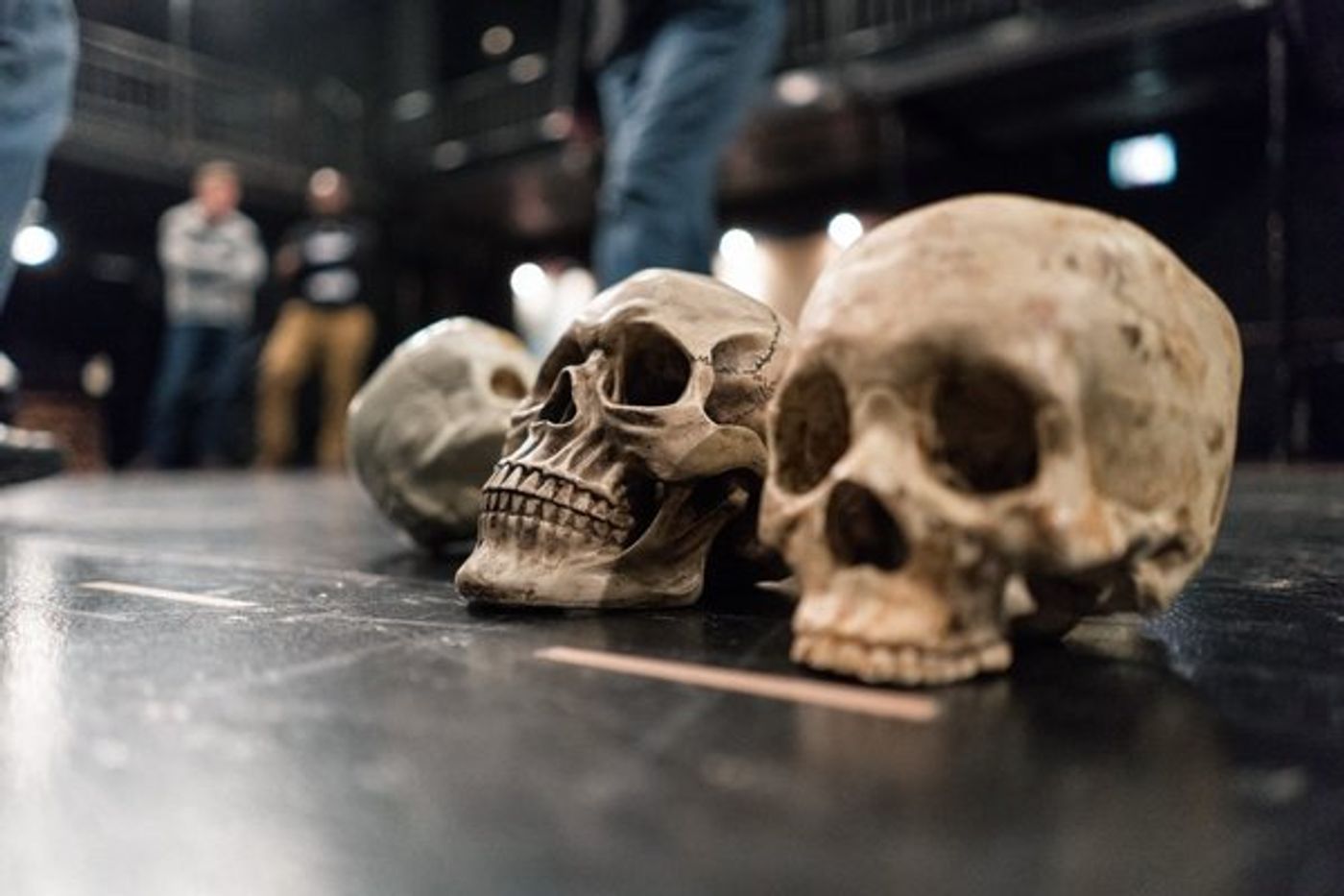 Photo Flash: Get A First Look At HAMLET Rehearsals at Chicago Shakespeare  Image