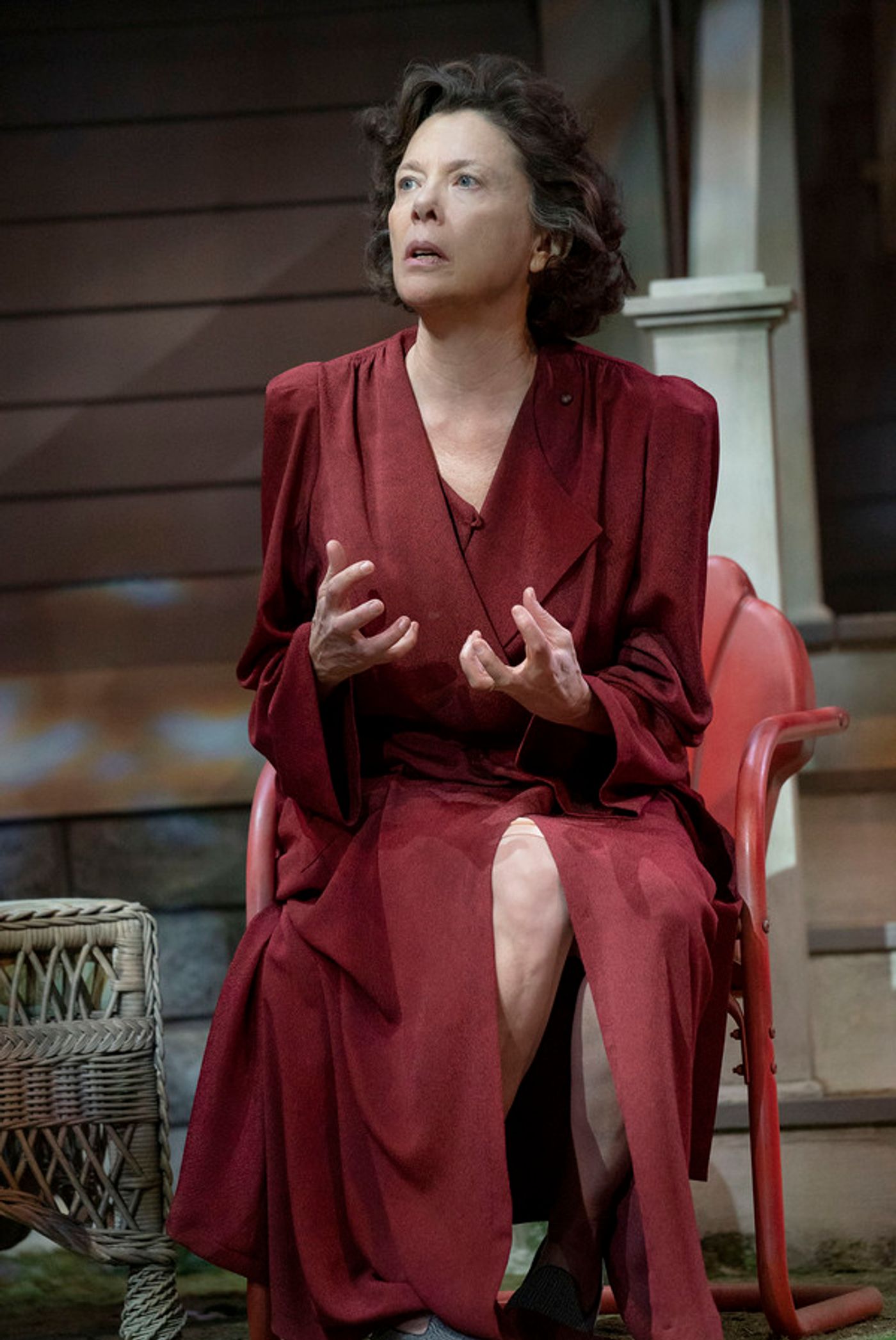 Photo Flash: First Look at Annette Bening, Tracy Letts, and the Cast of ALL MY SONS  Image