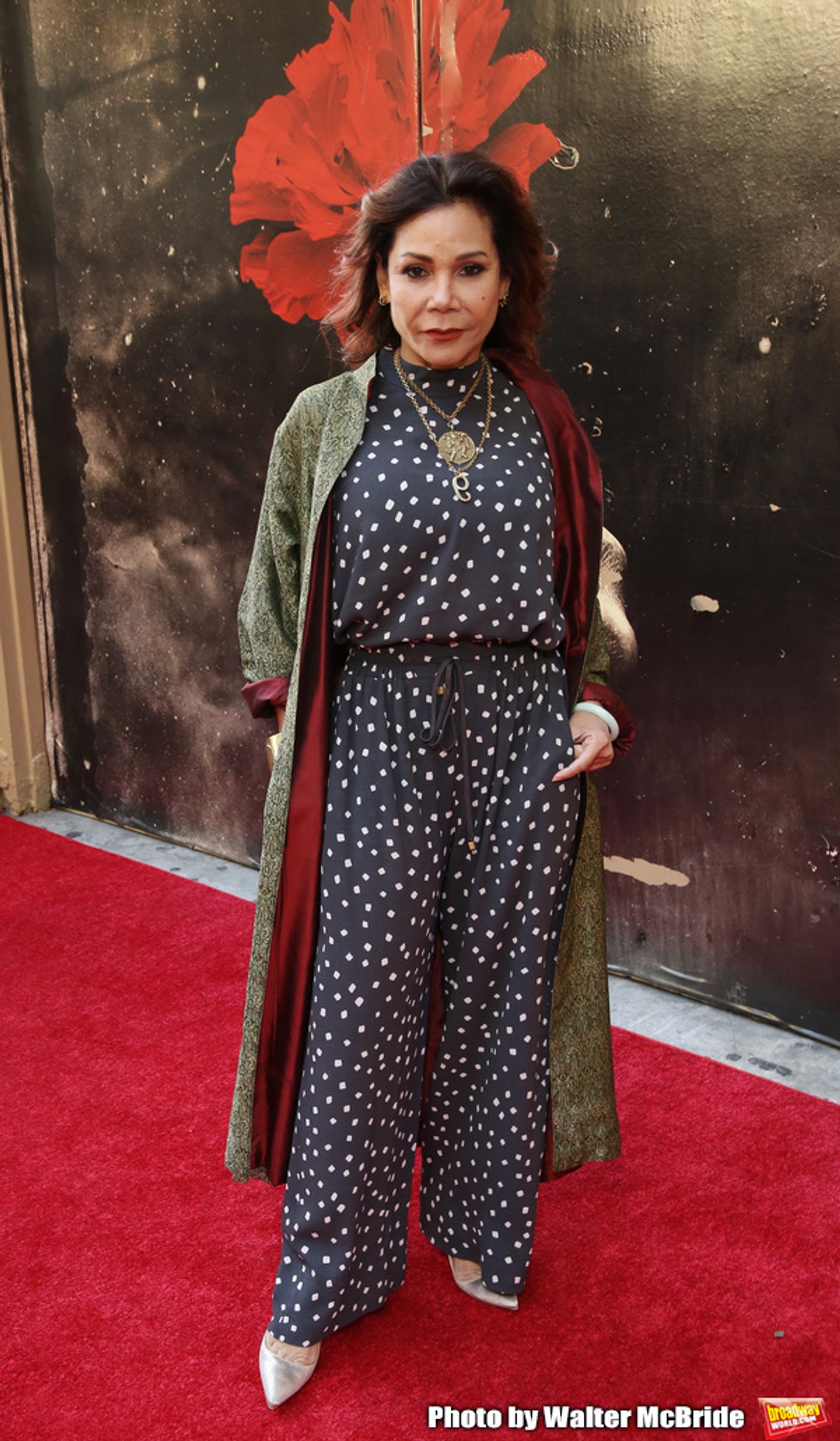Photo Coverage: On the Opening Night Red Carpet at HADESTOWN  Image