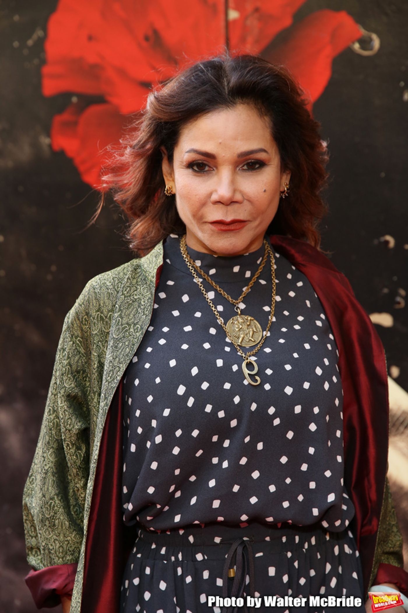Photo Coverage: On the Opening Night Red Carpet at HADESTOWN  Image