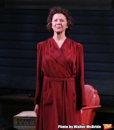 Annette Bening Photo