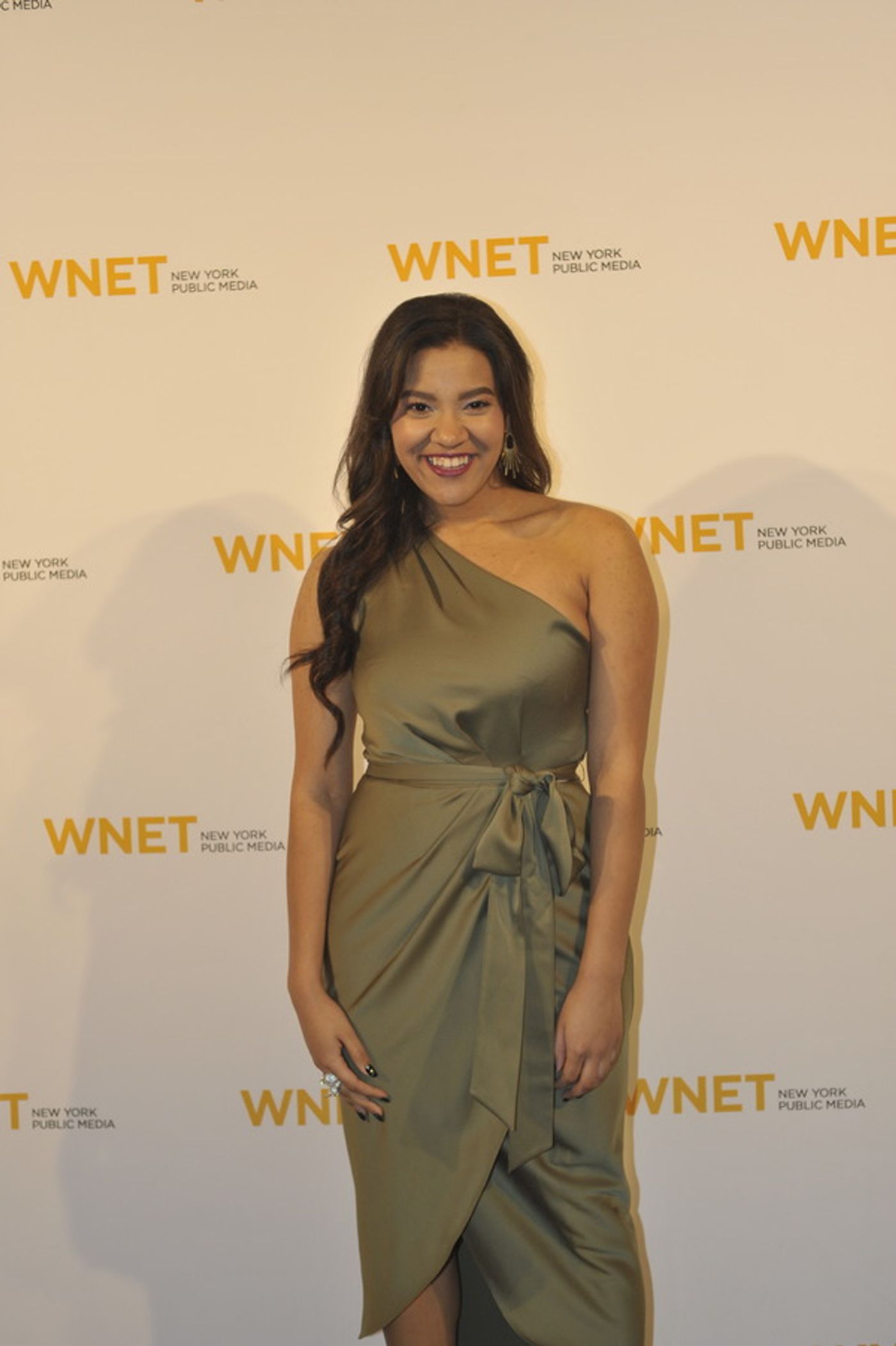 Photo Flash: WNET Salutes Nathan Lane, Renée Fleming, And More At Annual Gala  Image