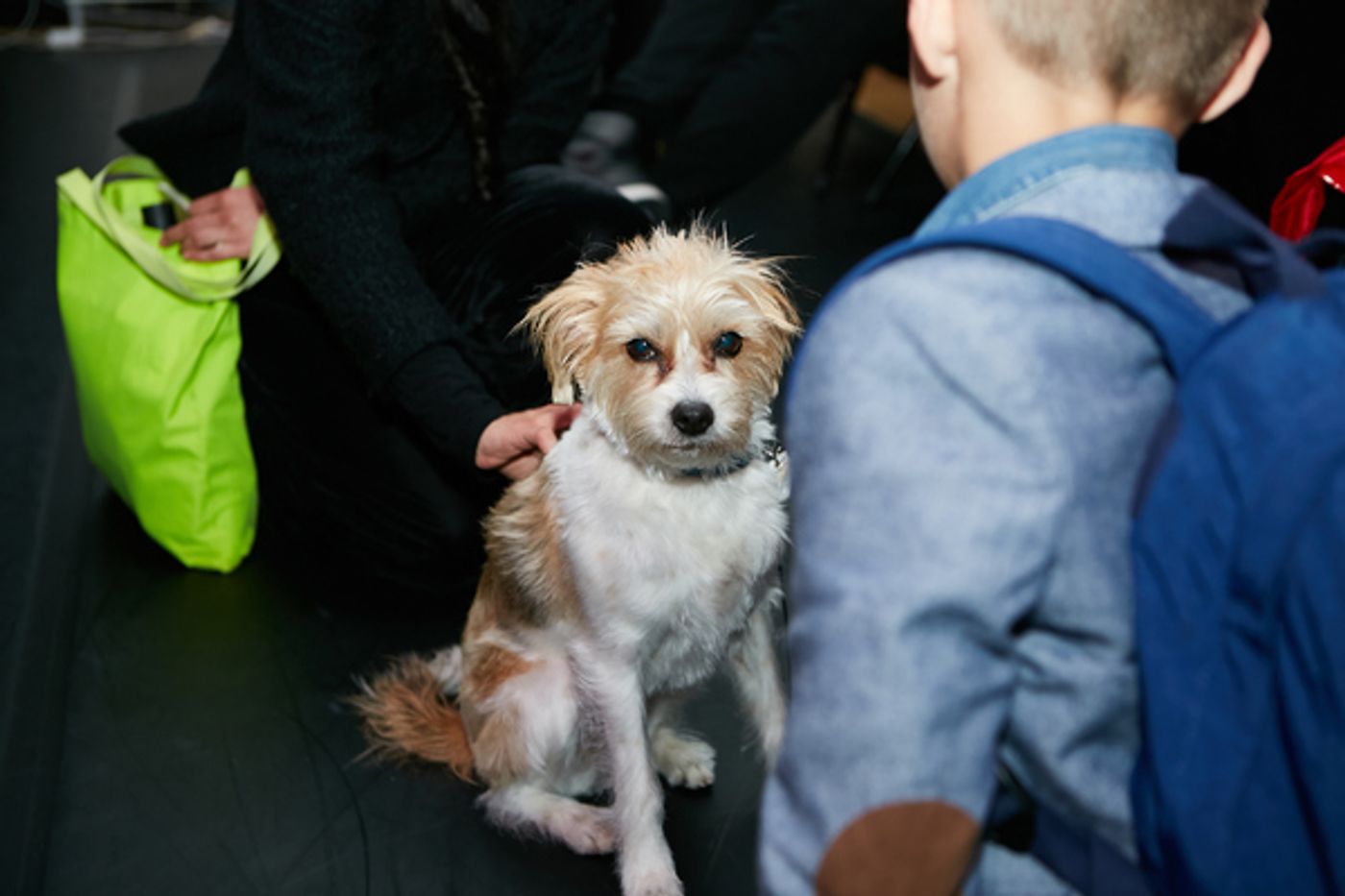 Photo Flash: LINK LINK CIRCUS Starring Isabella Rossellini Celebrates Opening Night  Image