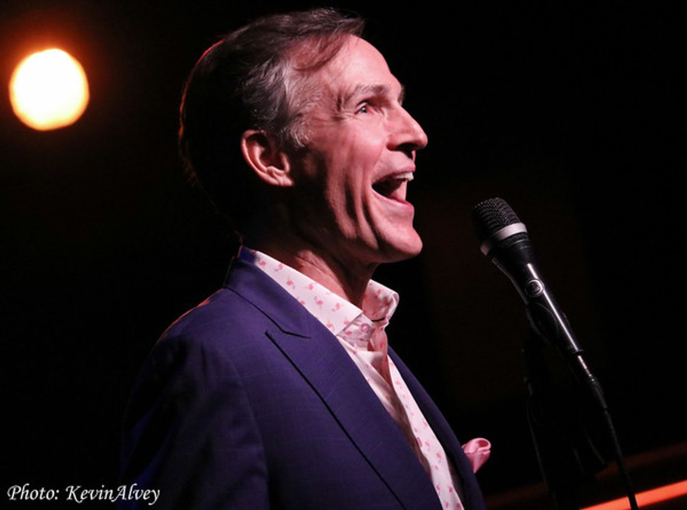 Photo Flash: Broadway at Birdland Features Howard McGillin  Image