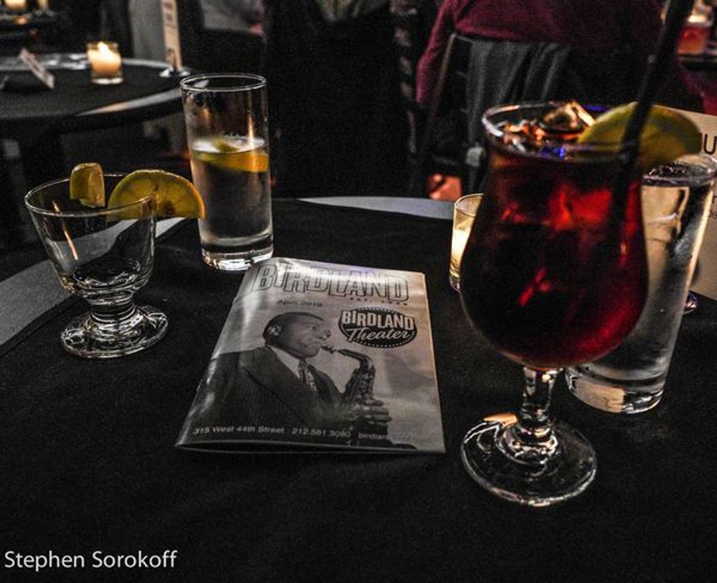 Photo Coverage: Celia Berk Makes Birdland Theater Debut  Image