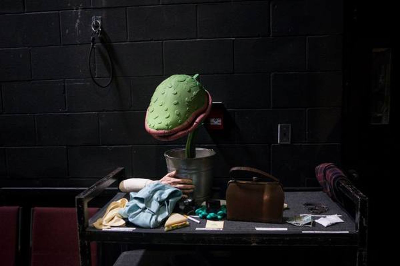 Photo Flash: Go Inside Rehearsals For LITTLE SHOP OF HORROS at Stratford  Image