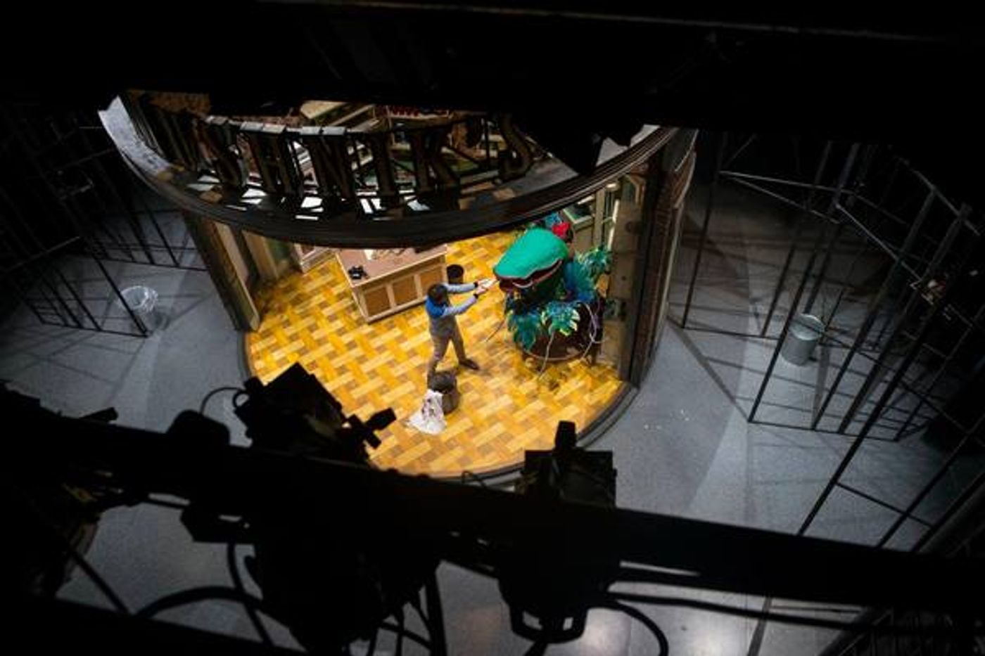 Photo Flash: Go Inside Rehearsals For LITTLE SHOP OF HORROS at Stratford  Image