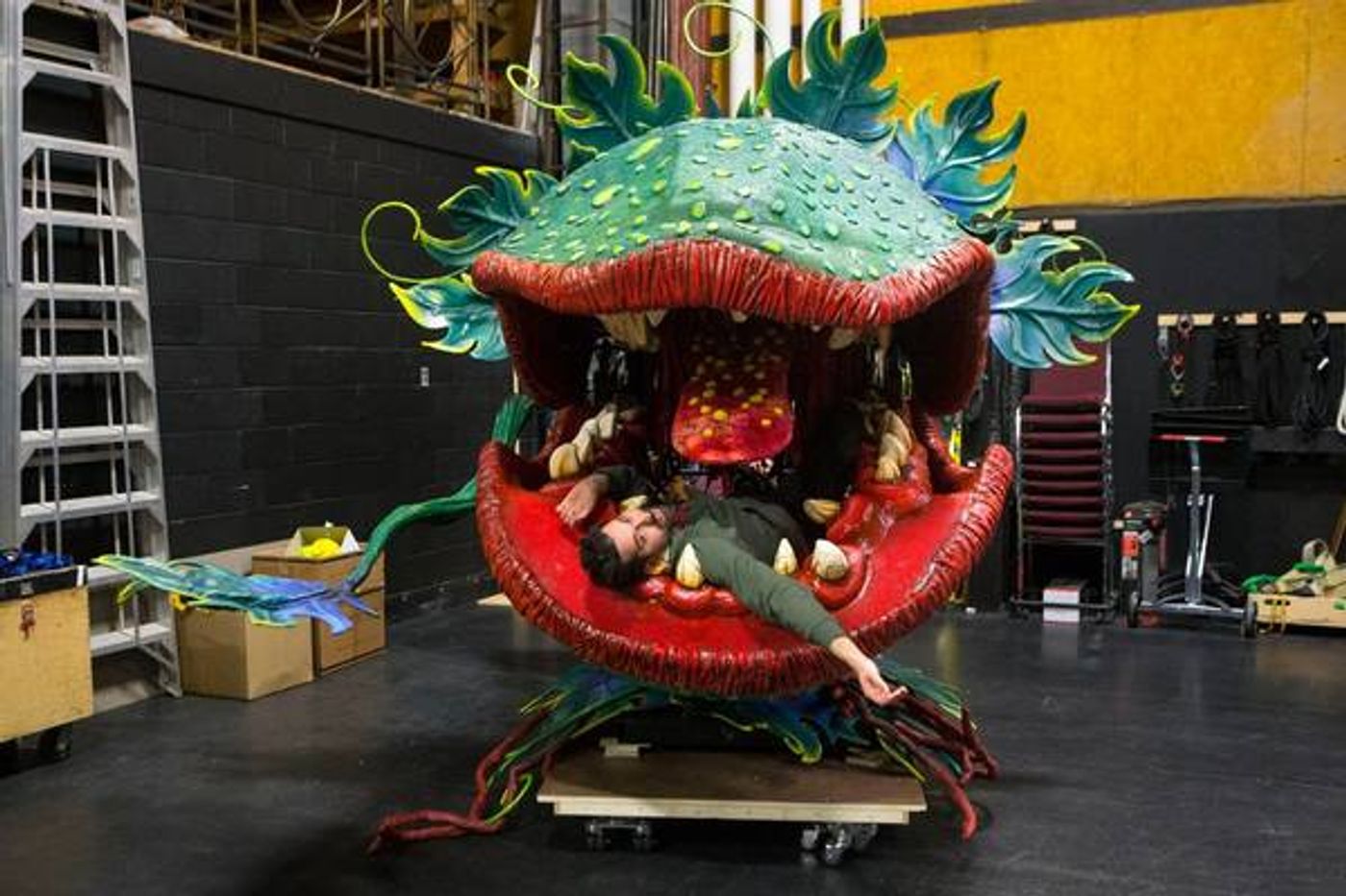 Photo Flash: Go Inside Rehearsals For LITTLE SHOP OF HORROS at Stratford  Image