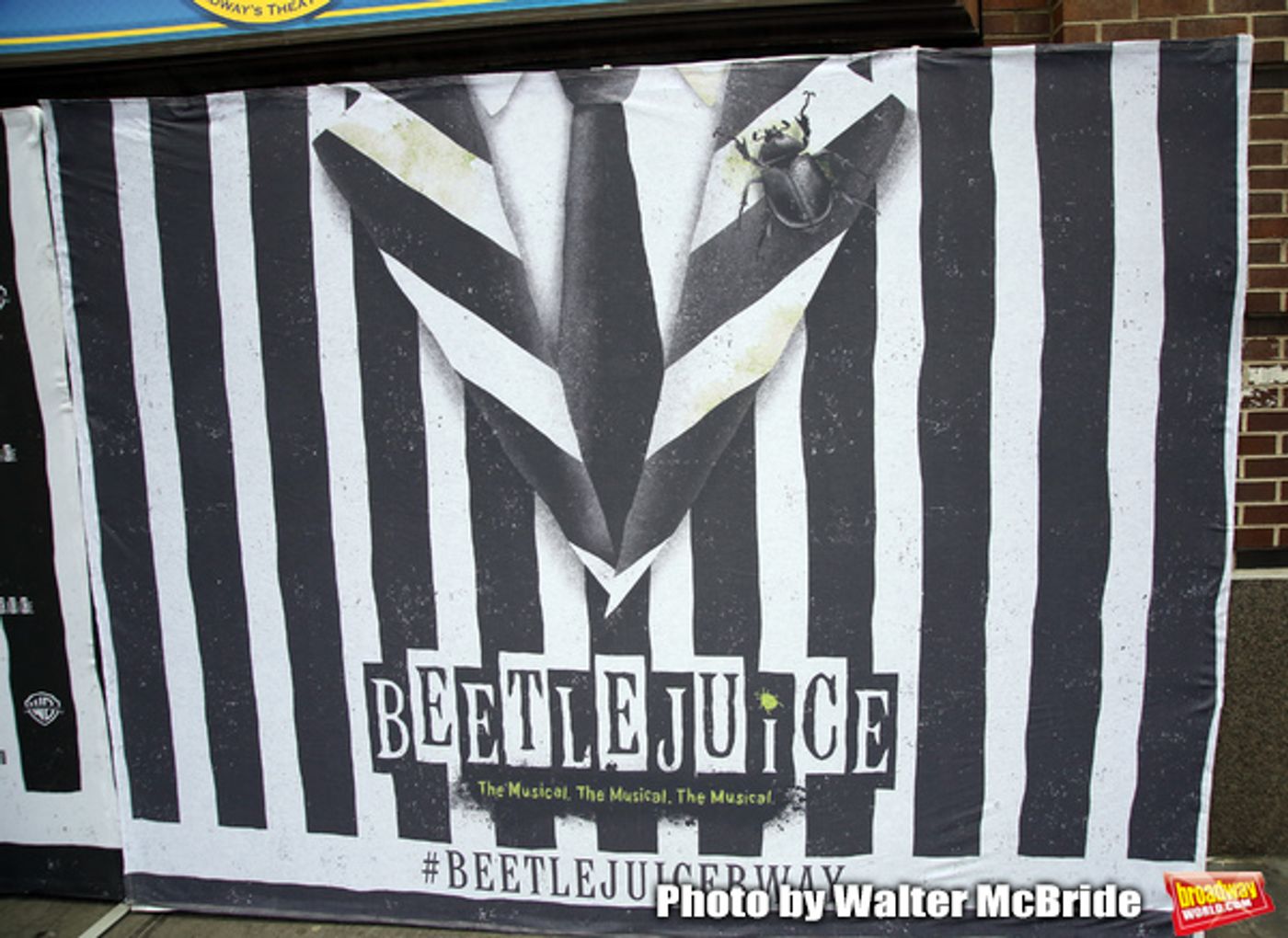 Photo Coverage: BEETLEJUICE Opening Night: Inside the Strange and Unusual Red Carpet!  Image
