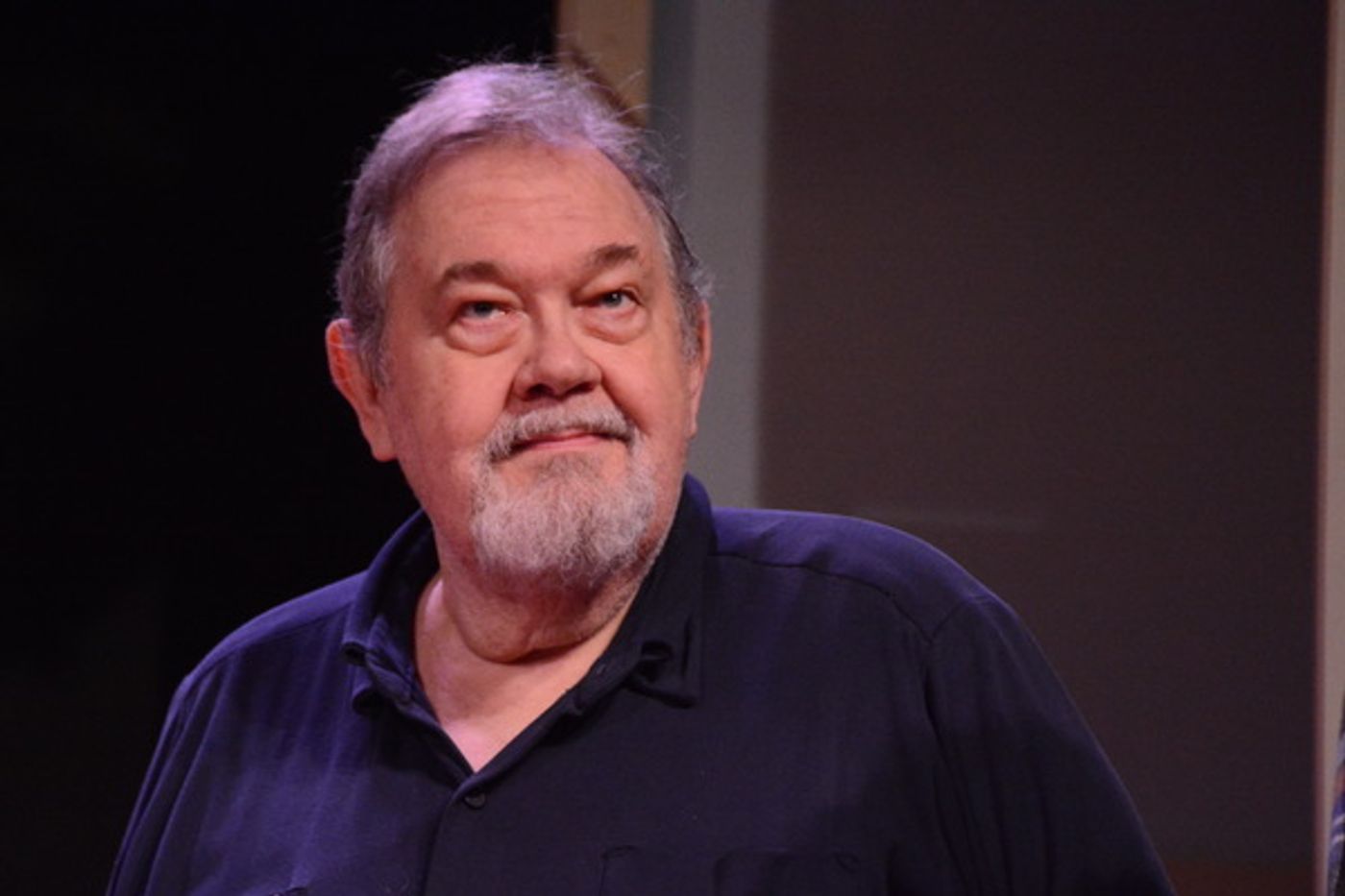 Photo Coverage: The Cast of ENTER LAUGHING Meets the Press  Image