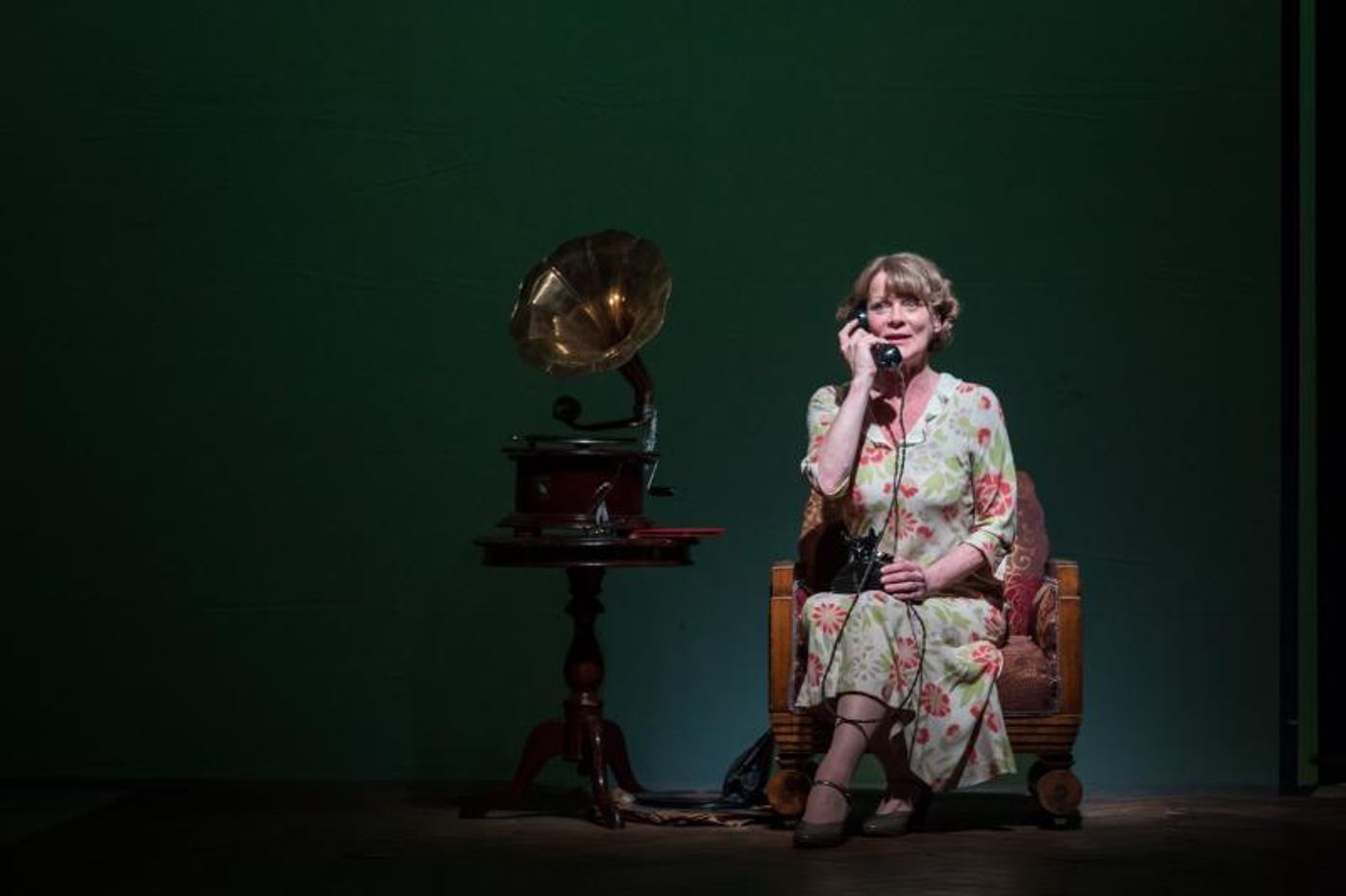 Review: THE GLASS MENAGERIE at The Gate Theatre  Image