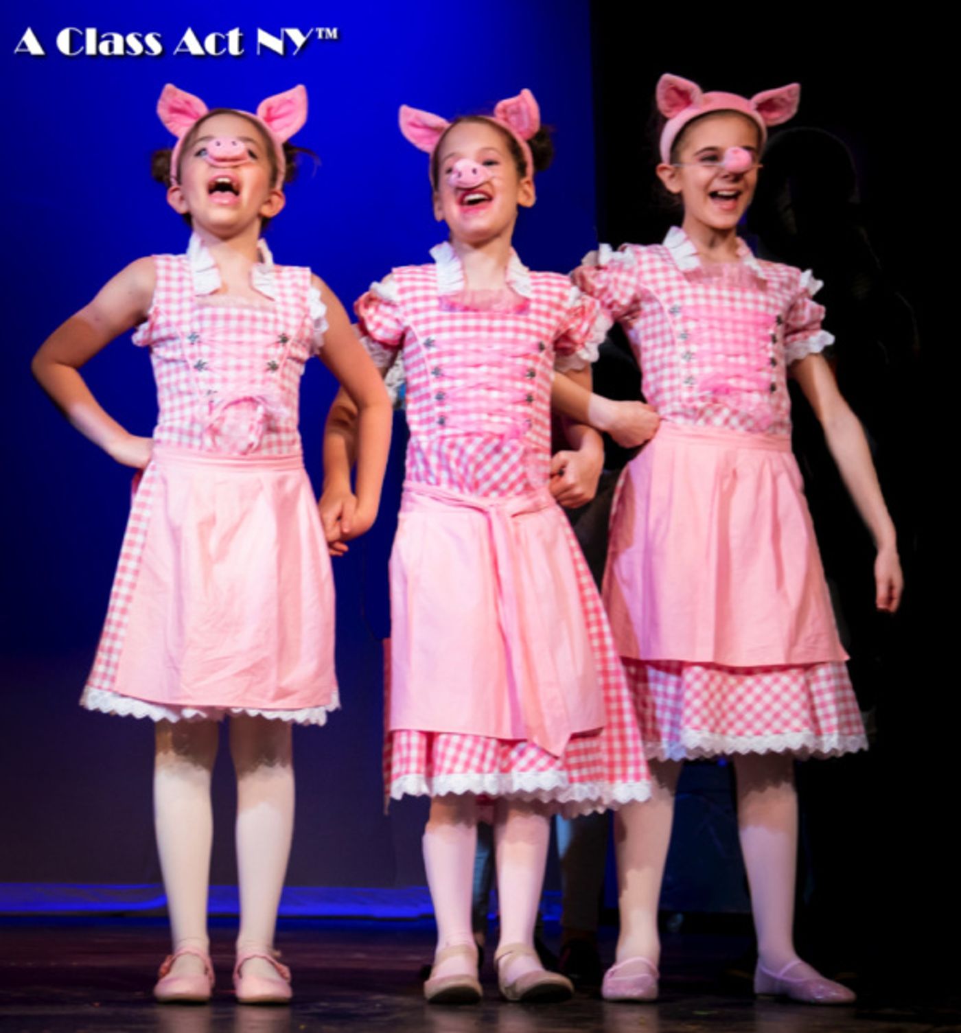 Photo Flash: A Class Act NY Presents SHREK: THE MUSICAL JR!  Image