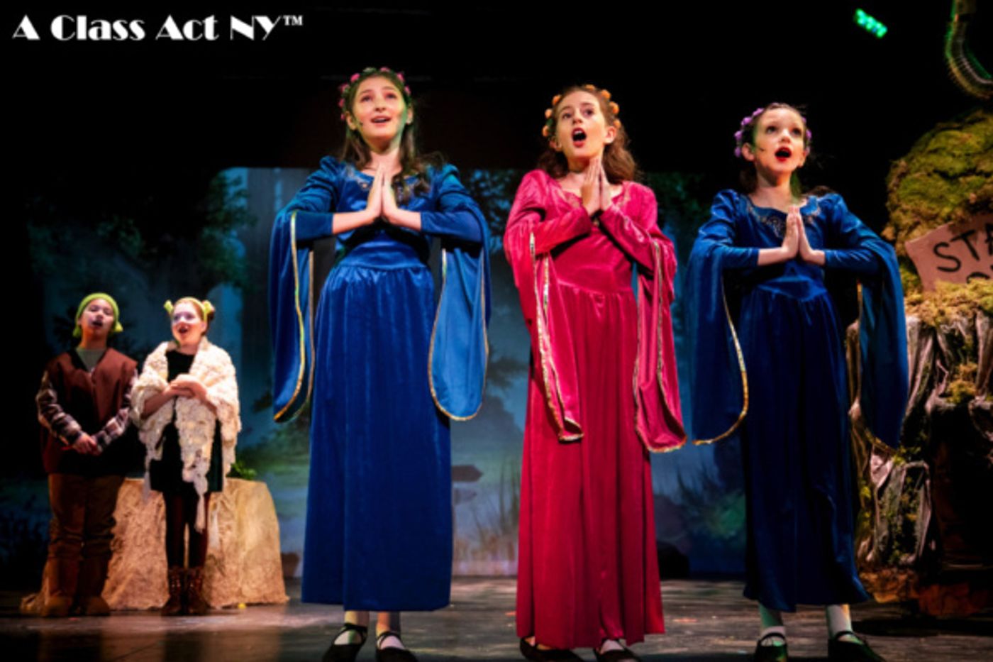 Photo Flash: A Class Act NY Presents SHREK: THE MUSICAL JR!  Image