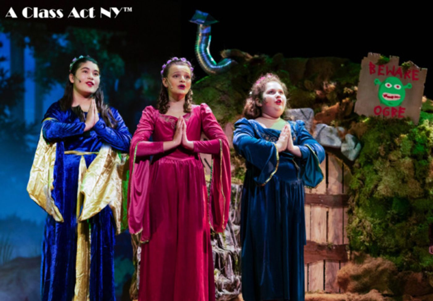 Photo Flash: A Class Act NY Presents SHREK: THE MUSICAL JR!  Image