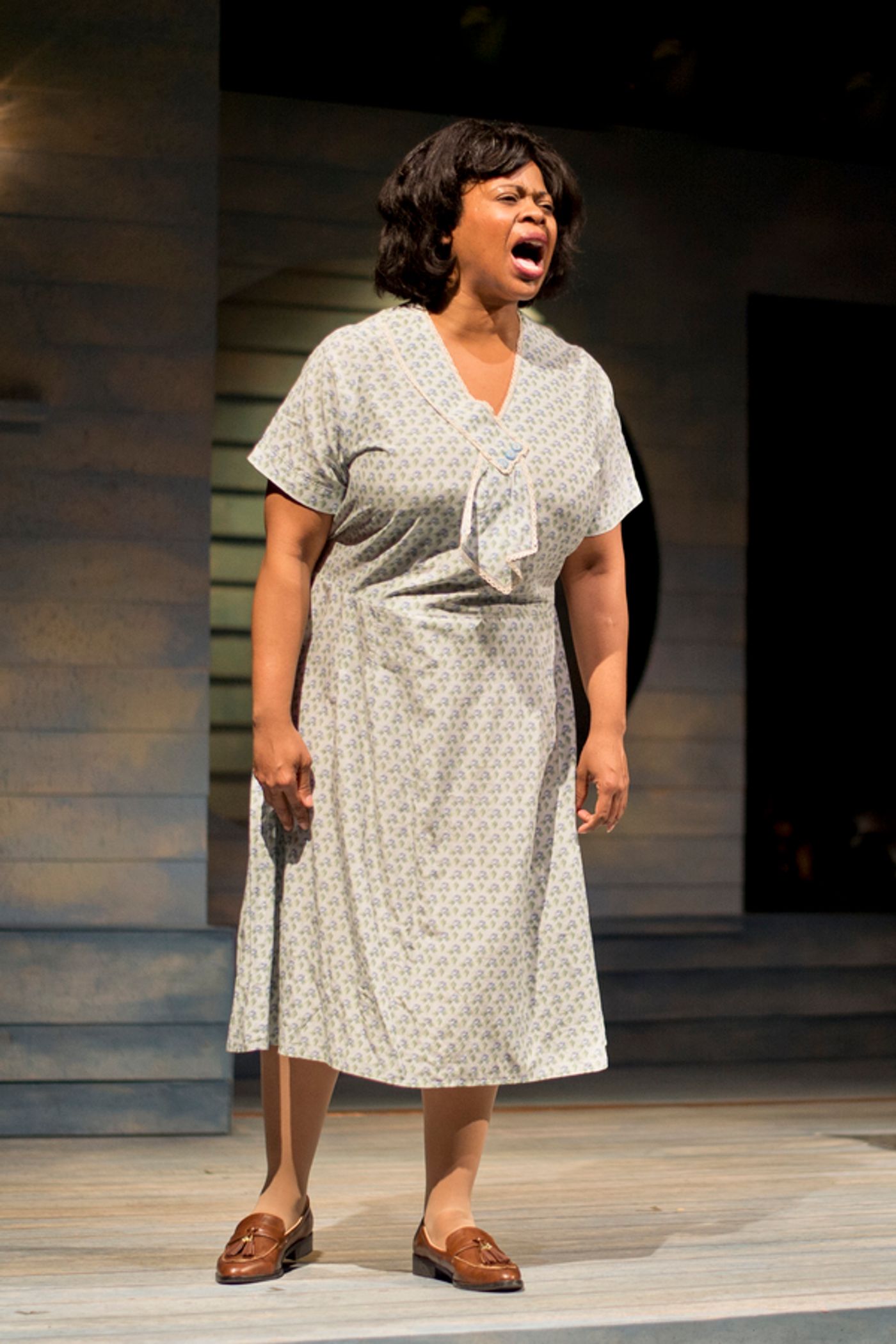 Photo Flash: First Look at CAROLINE, OR CHANGE at Astoria Performing Arts Center Photo Flash: First Look at CAROLINE, OR CHANGE at Astoria Performing Arts Center Image