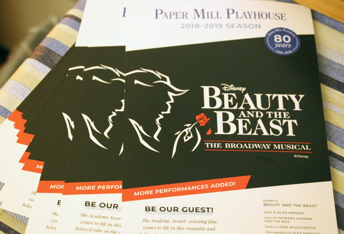 Photo Flash: Meet the Cast of BEAUTY AND THE BEAST at Paper Mill  Image