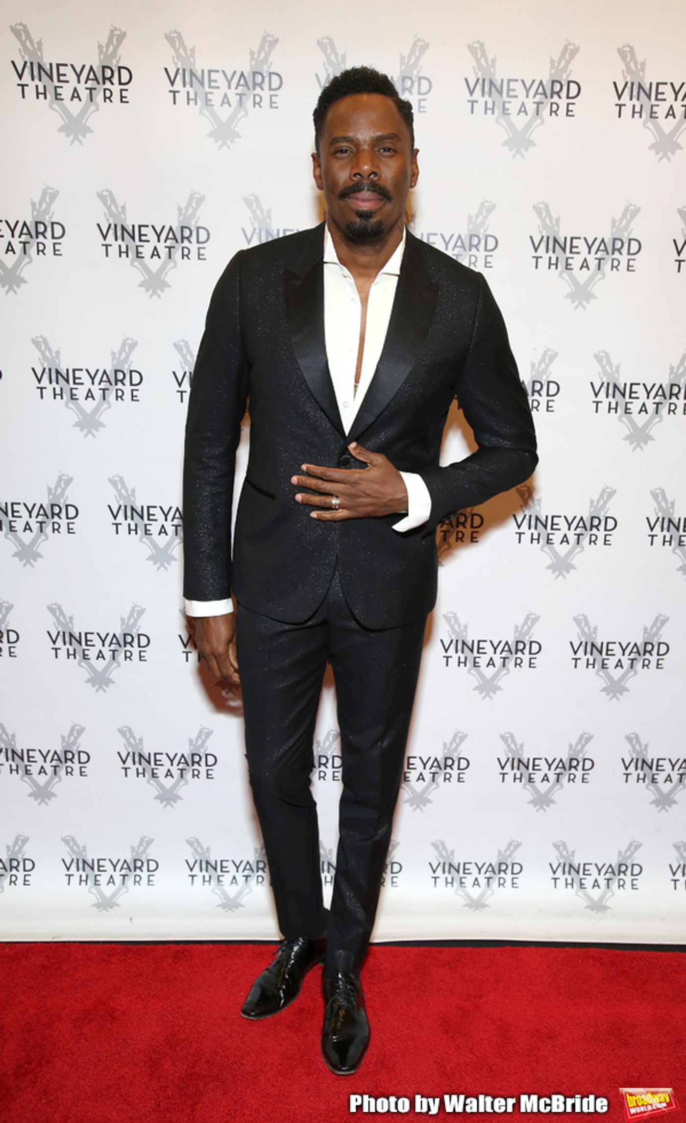 Photo Coverage: On the Red Carpet for The Vineyard Theatre's Gala Honoring Colman Domingo!  Image