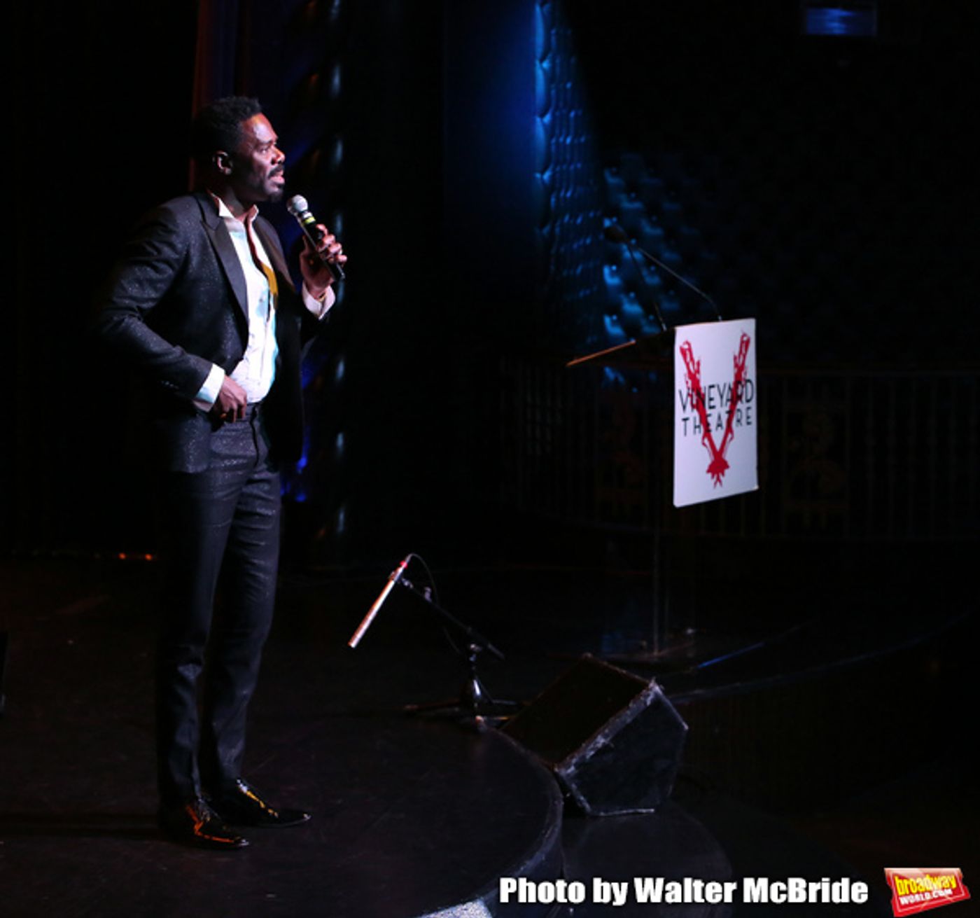 Photo Coverage: The Vineyard Theatre Honors Colman Domingo  Image