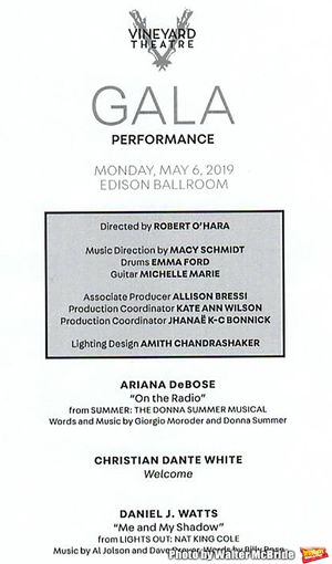 Vineyard Theatre Gala honoring Colman Domingo - Program @ BroadwayWorld Vineyard Theatre Gala honoring Colman Domingo - Program Photo