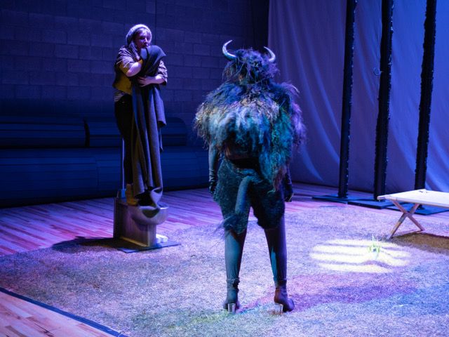 Review: THE BUFFALO PLAY Roams Rogue at The Tank  Image