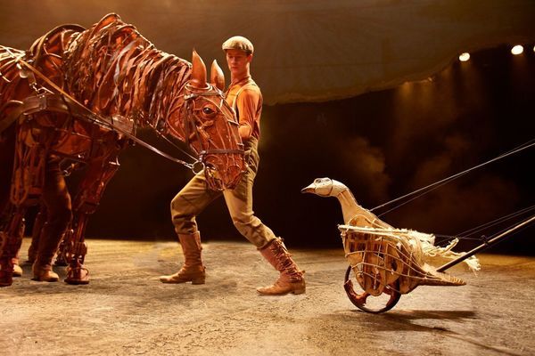 Review: WAR HORSE at HKAPA  Image
