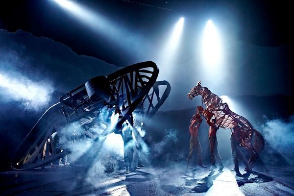 Review: WAR HORSE at HKAPA  Image