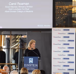 Carol Roaman Co-Chair @ BroadwayWorld Carol Roaman Co-Chair Photo