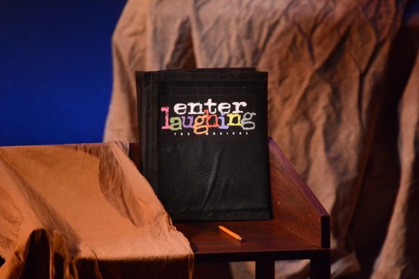 Photos: ENTER LAUGHING: THE MUSICAL Takes Opening Night Bows — photo 1 of 21