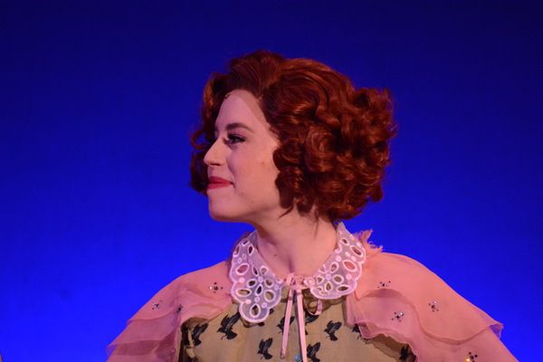 Photos: ENTER LAUGHING: THE MUSICAL Takes Opening Night Bows — photo 8 of 21