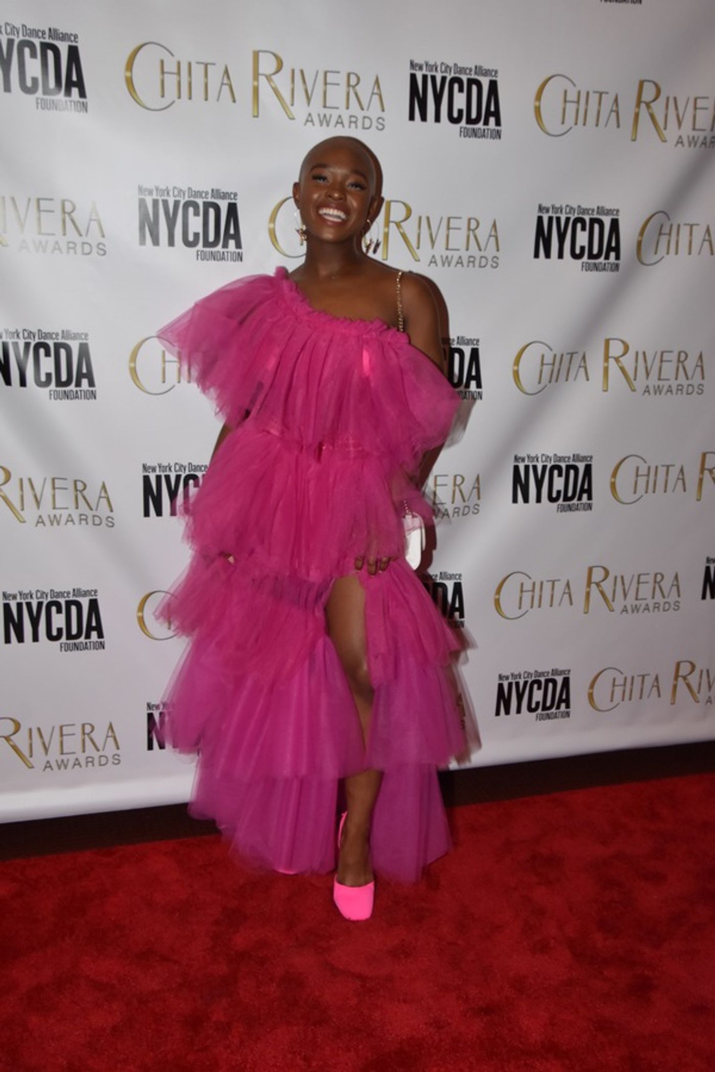 Photo Coverage: On the Red Carpet at the 2019 Chita Rivera Awards Arrivals  Image