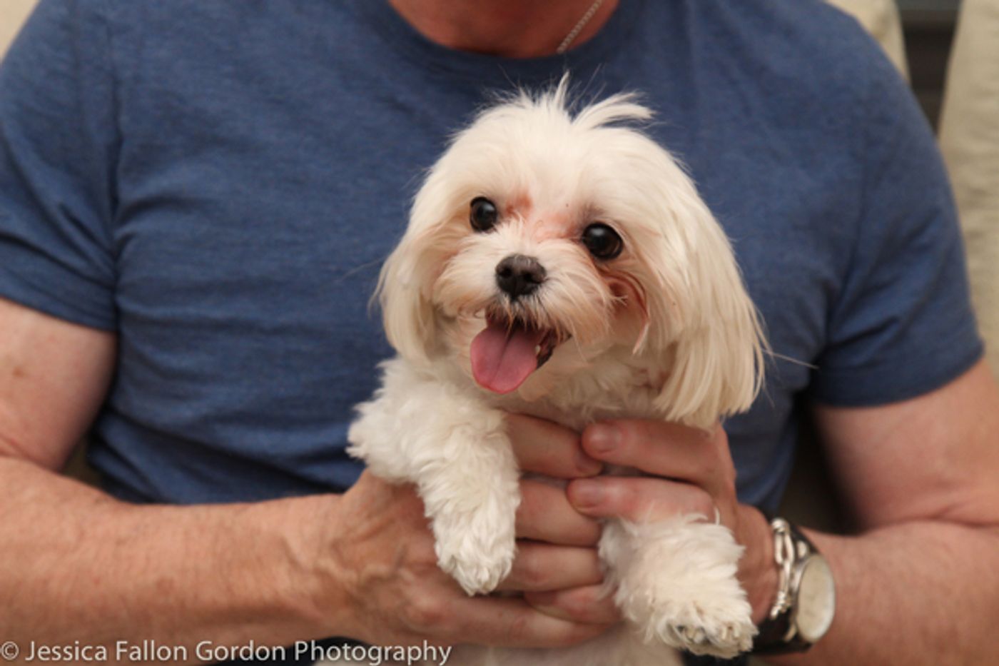 Tails of Broadway: Tony Nominee Patrick Page Poses with Georgie!  Image