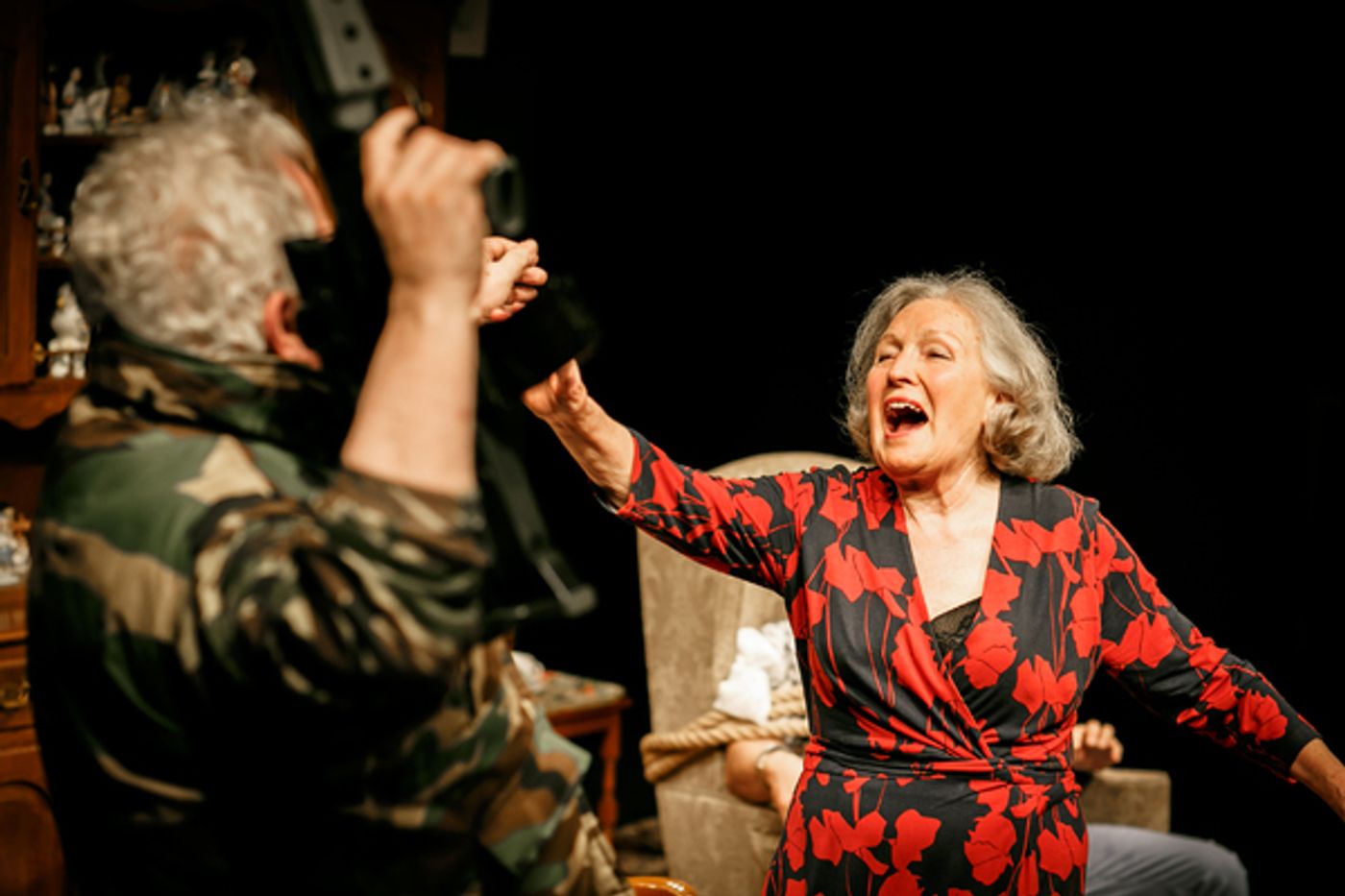 Photo Flash: First Look at BENEATH THE BLUE RINSE at Park Theatre  Image