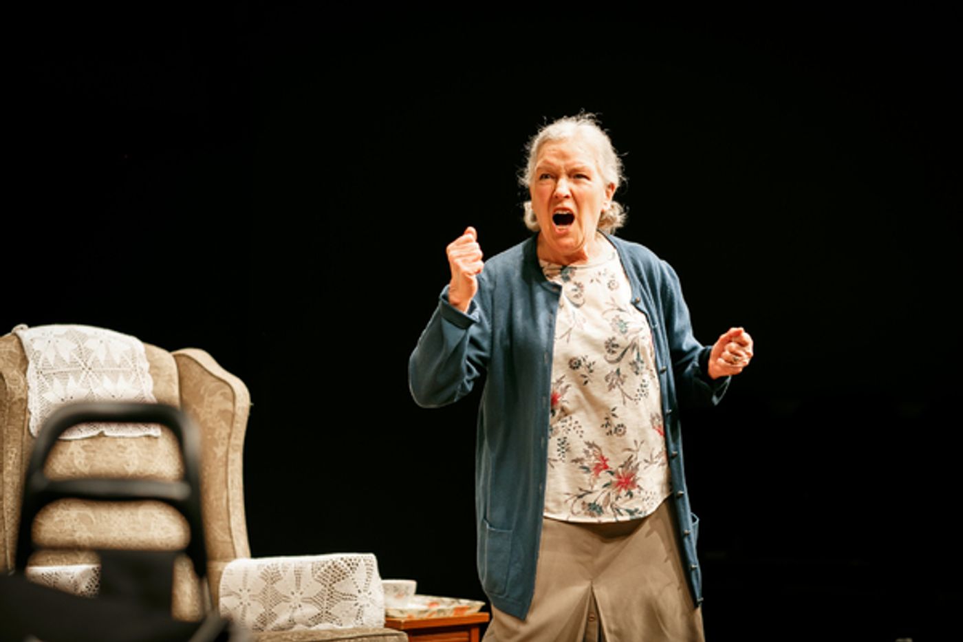 Photo Flash: First Look at BENEATH THE BLUE RINSE at Park Theatre  Image