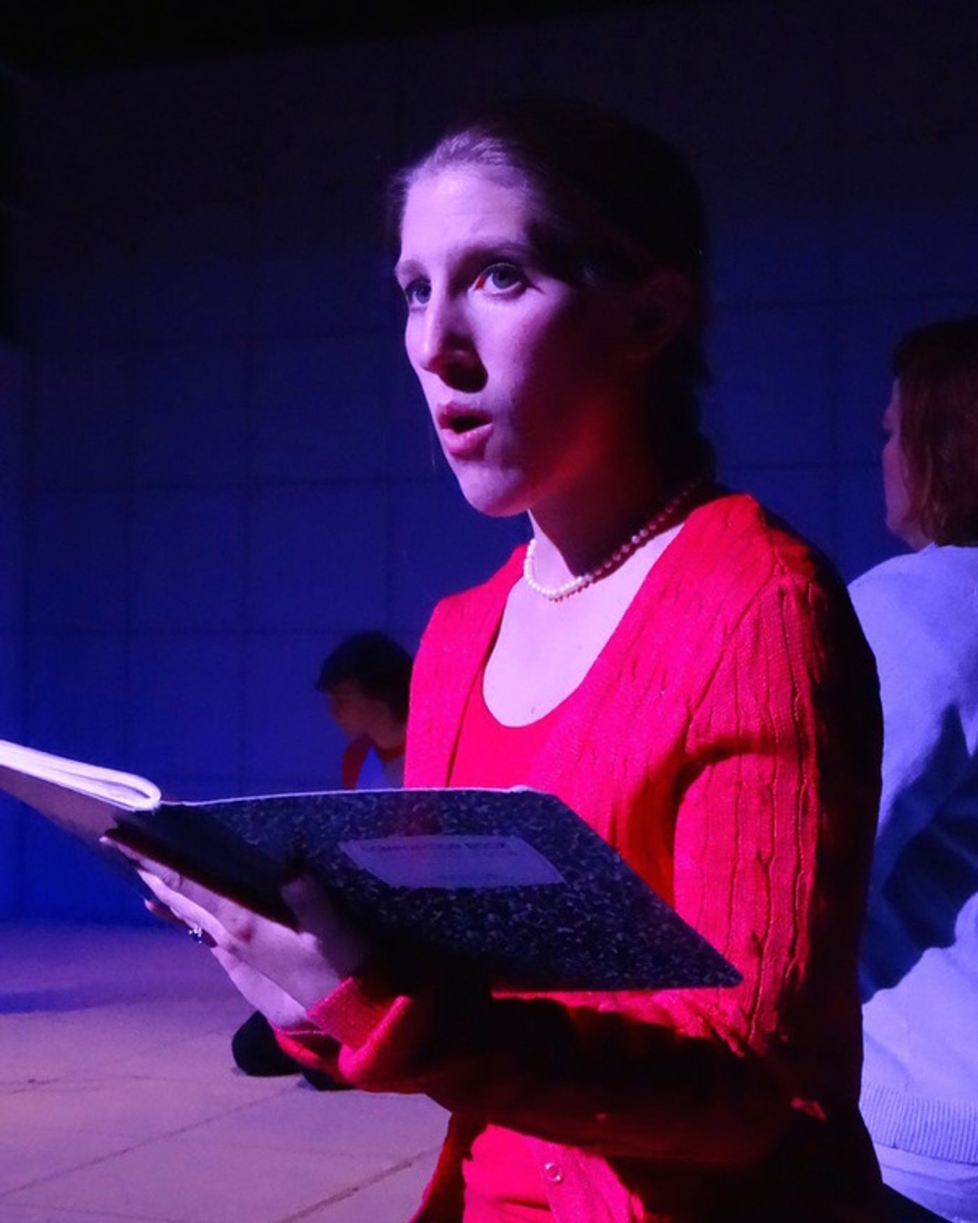 Photo Flash: Barn Players Presents THE CURIOUS INCIDENT OF THE DOG IN THE NIGHT-TIME  Image