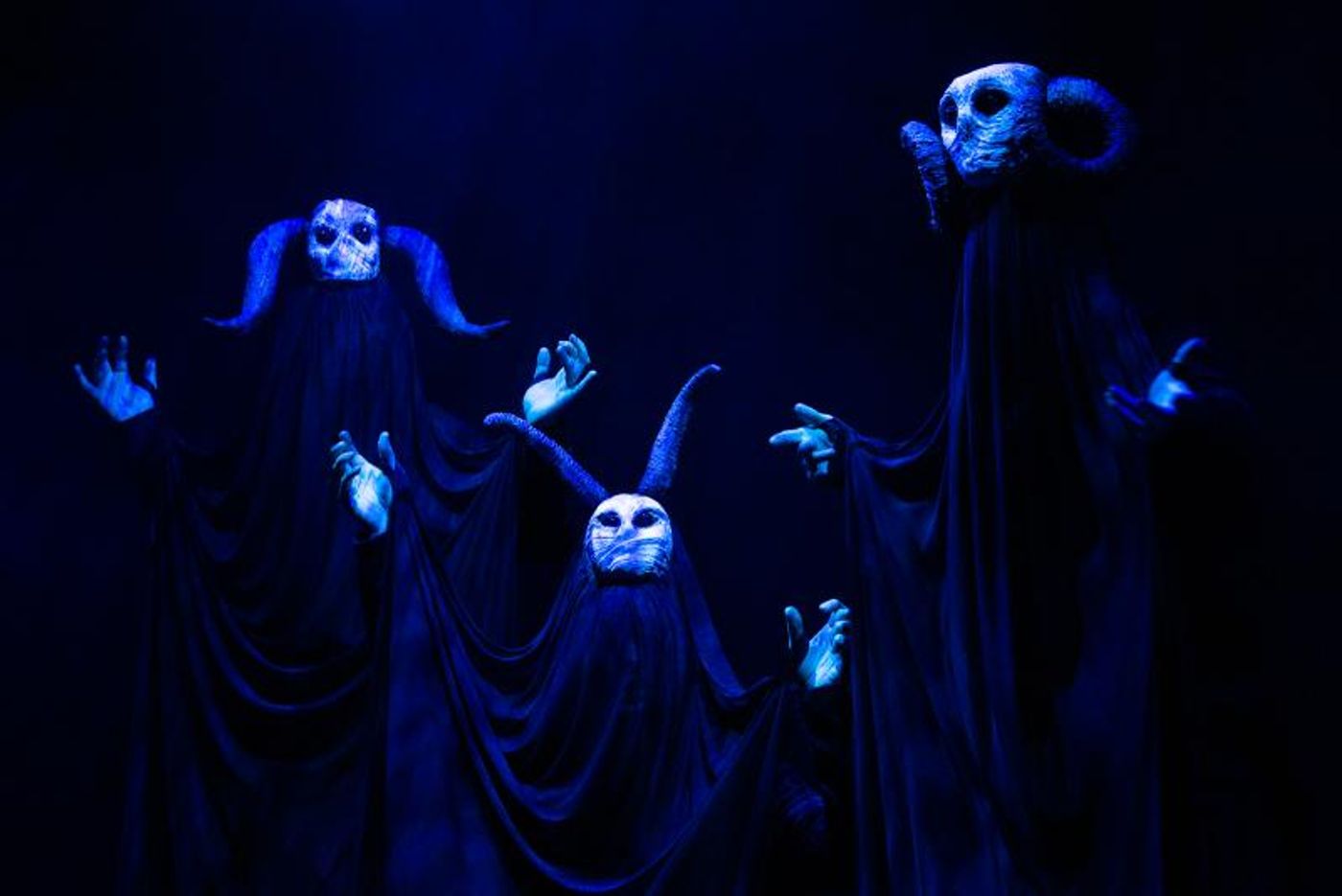 Review: MACBETH's Tragic Tale of Ambition Hauntingly Staged at Theatre on the Bay  Image