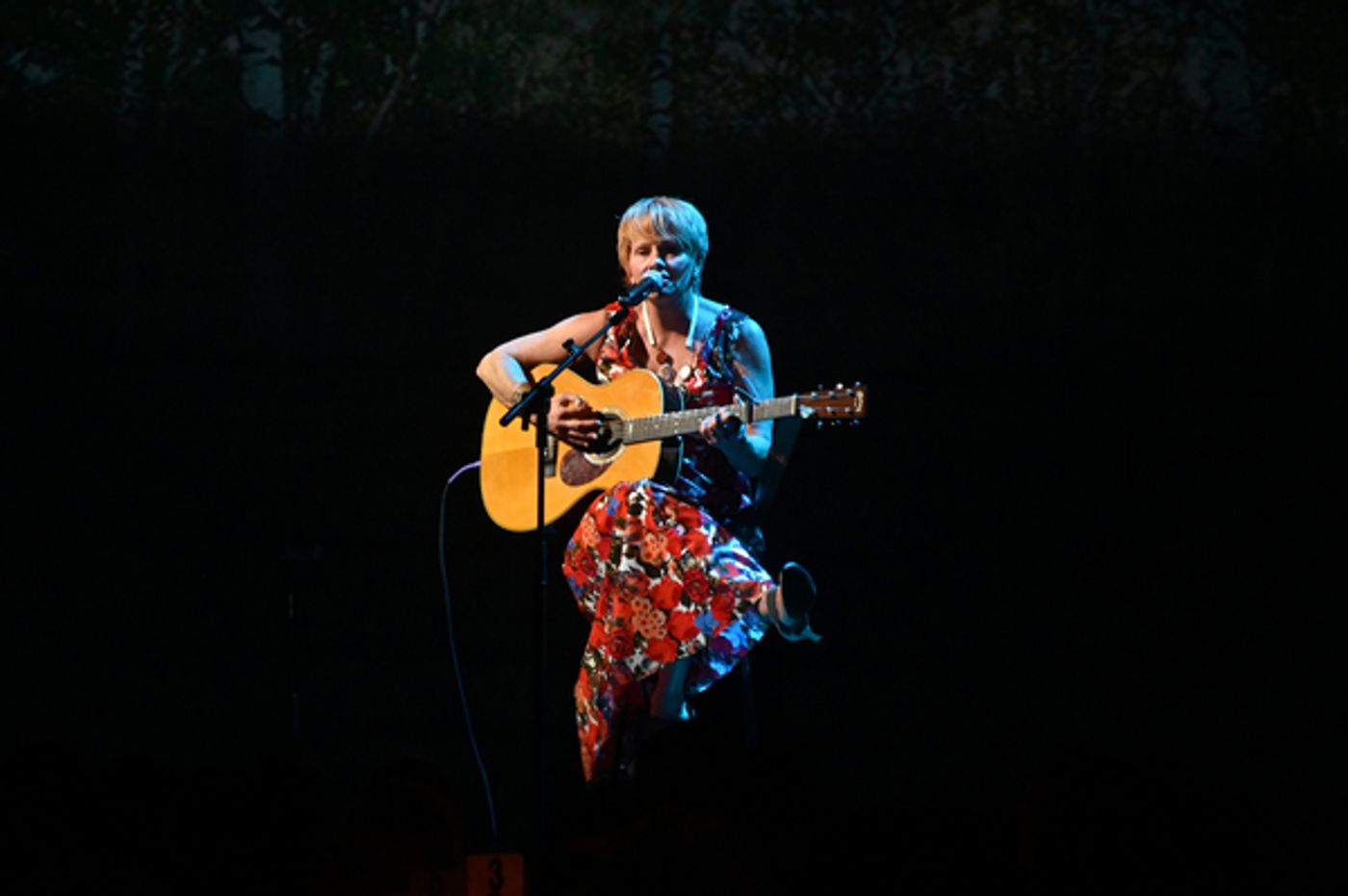 Photo Flash: Paul Newman's SERIOUSFUN CHILDREN'S GALA Returns To NYC  Image