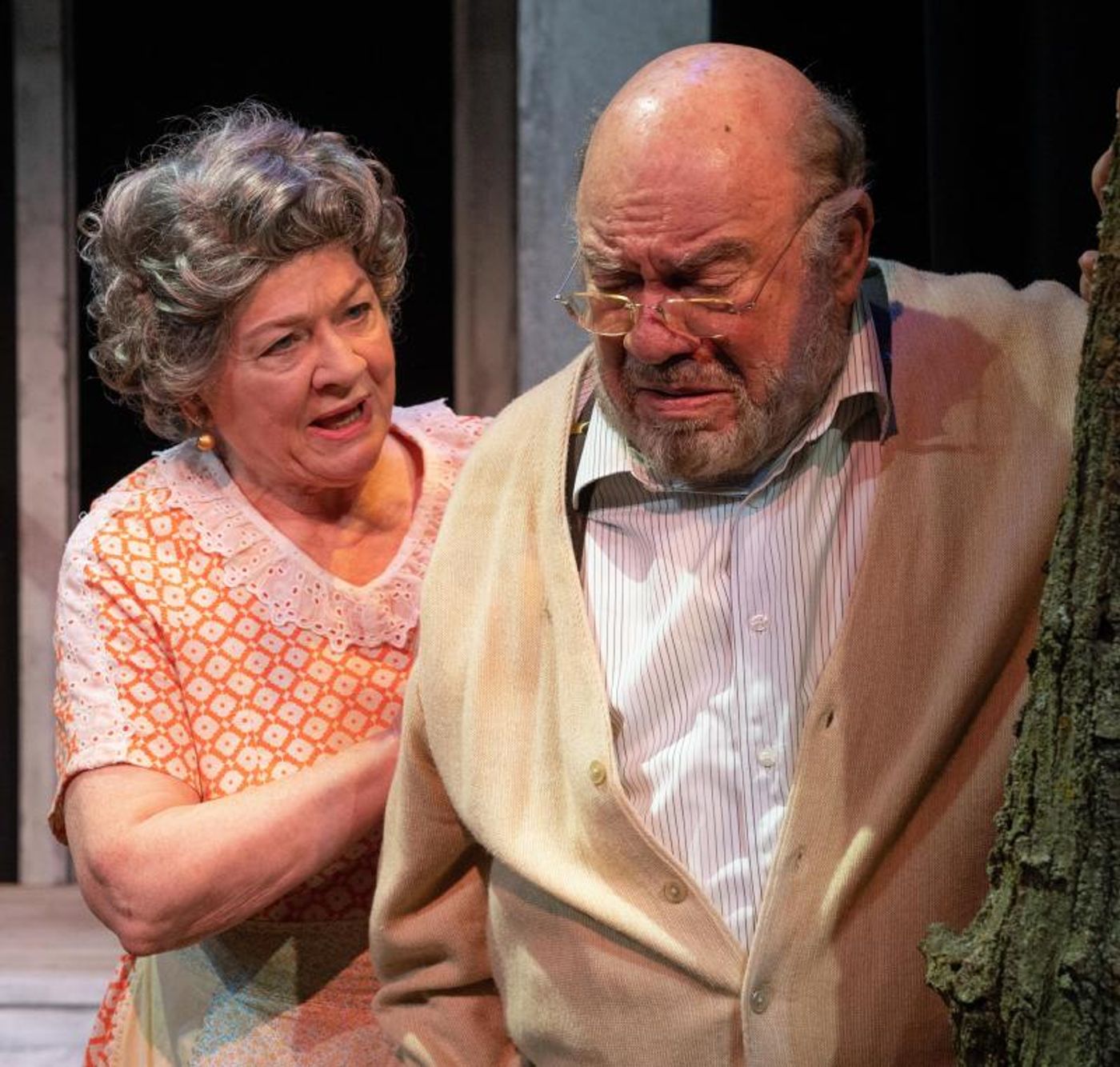 Review: MORNINGS AT SEVEN at Kansas City Actors Theatre  Image