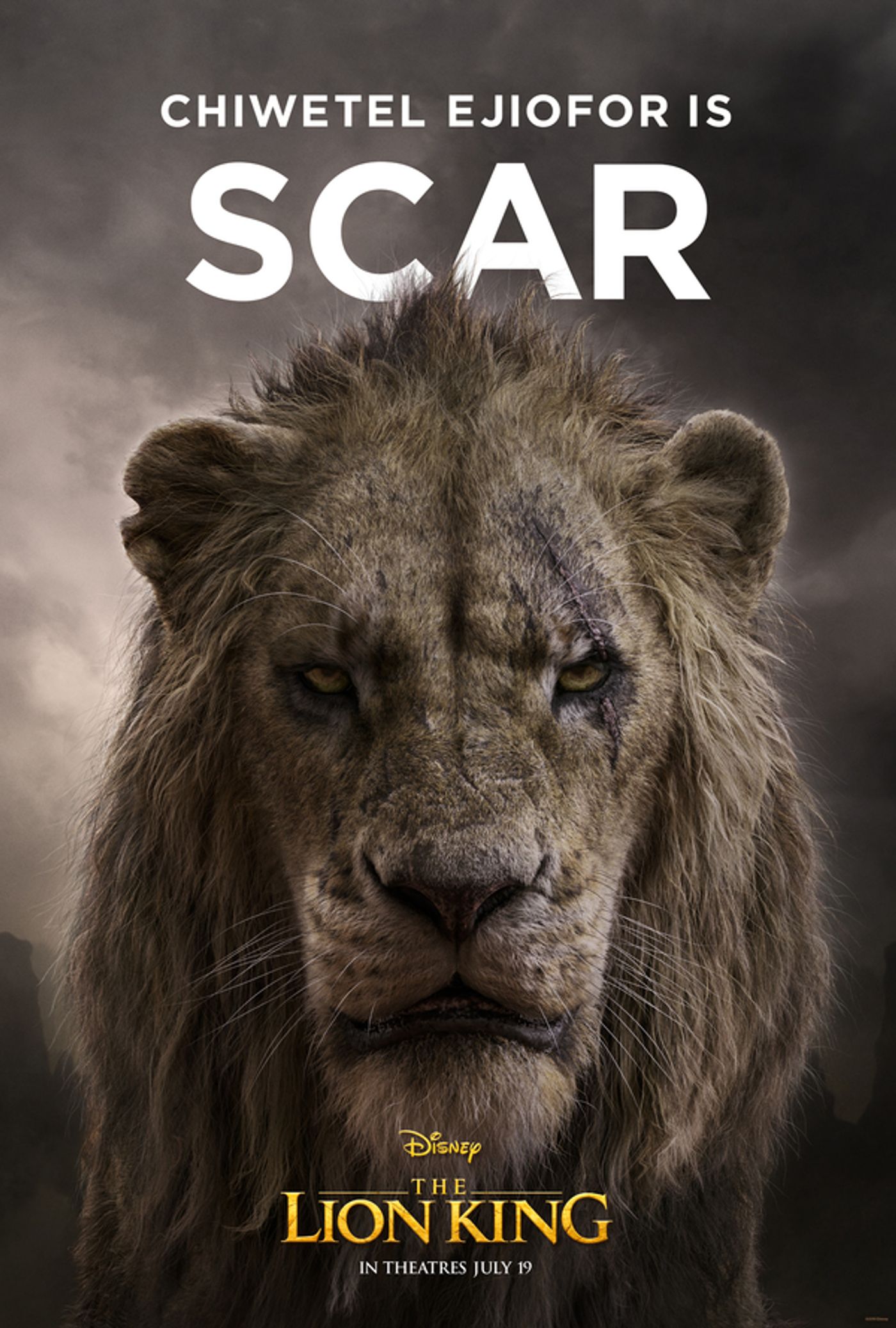 Photo Flash: Disney Marks 50 Days Until THE LION KING With Character Posters Photo Flash: Disney Marks 50 Days Until THE LION KING With Character Posters Image