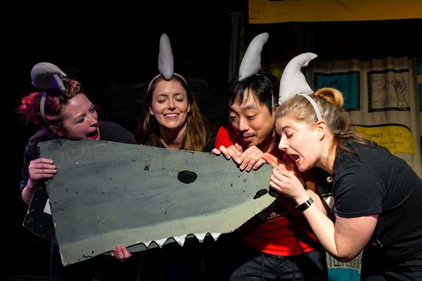 Carly Wicks, Gabriella Hirsch, Nic Park and Rachel Wilson Photo