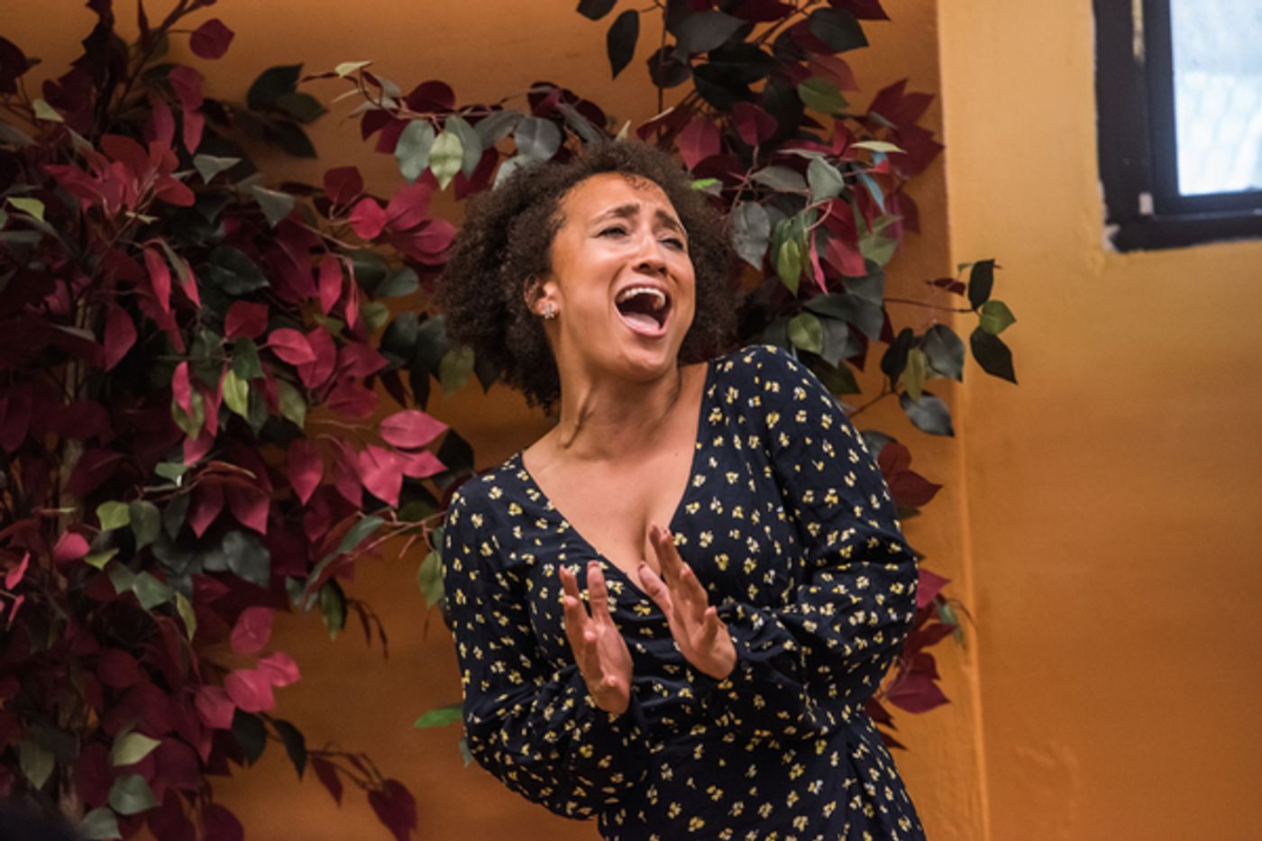 Photo Flash: The Black Is Beautiful Project Joins SING FOR YOUR SENIORS  Image