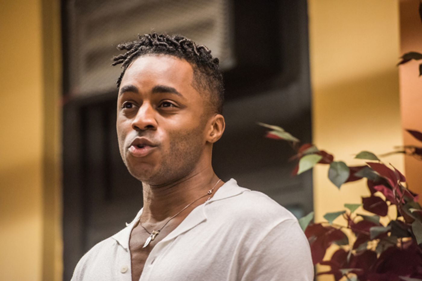 Photo Flash: The Black Is Beautiful Project Joins SING FOR YOUR SENIORS  Image