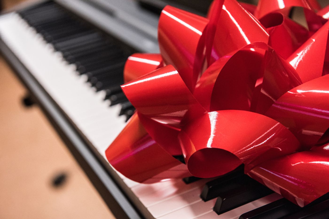 Photo Flash: The Black Is Beautiful Project Joins SING FOR YOUR SENIORS  Image