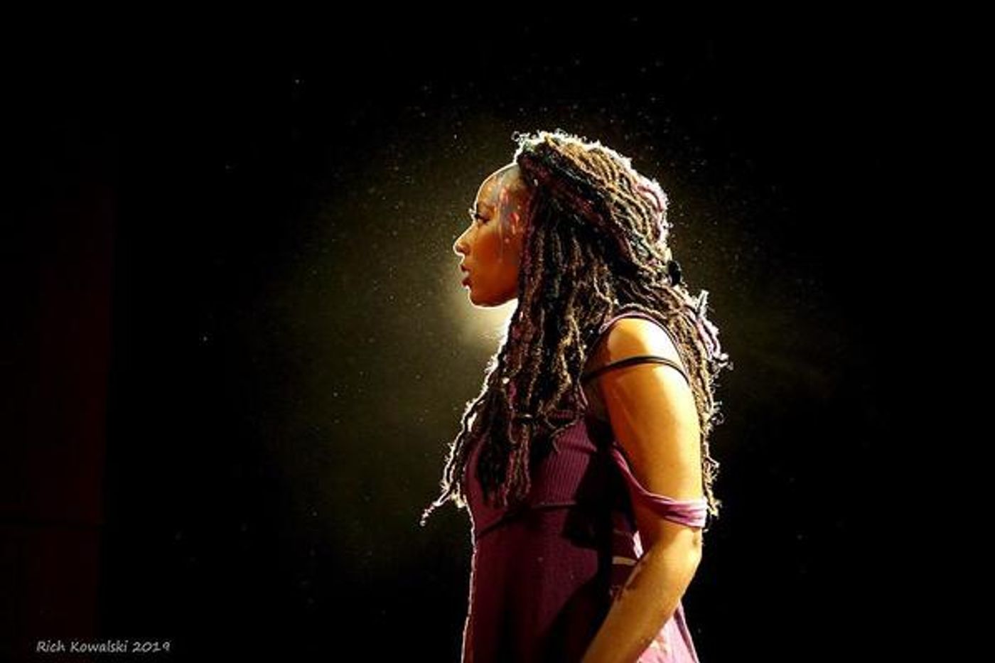 Photo Flash: AIDA Opens At Axelrod Performing Arts Center  Image