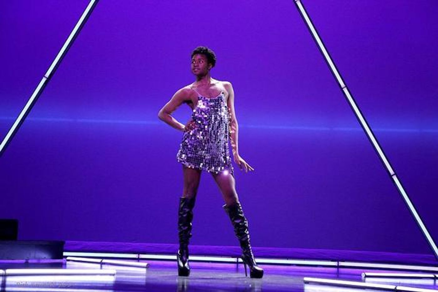 Photo Flash: AIDA Opens At Axelrod Performing Arts Center  Image