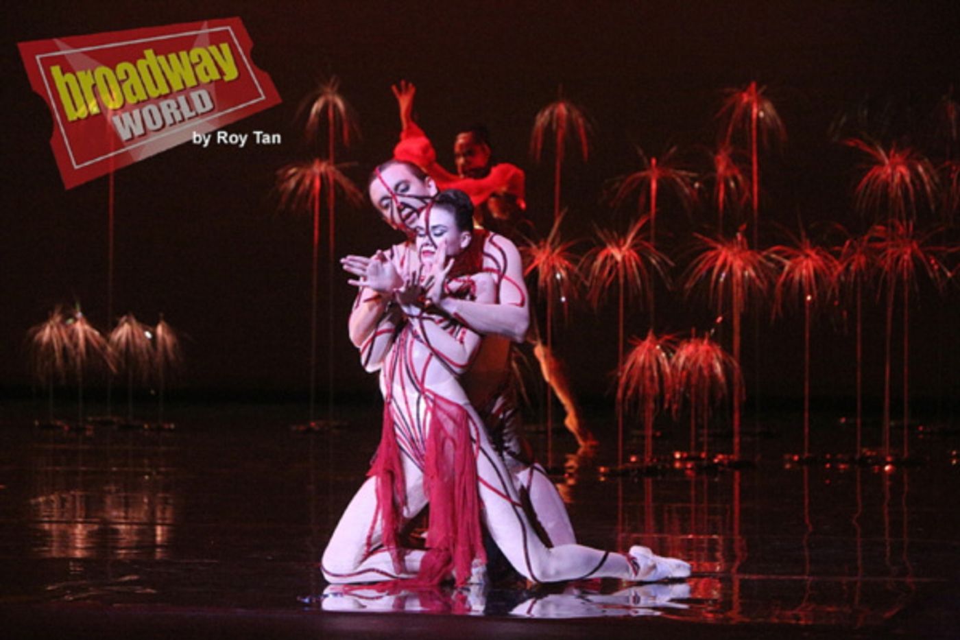 Photo Flash: First Look at San Francisco Ballet's Programme B  Image