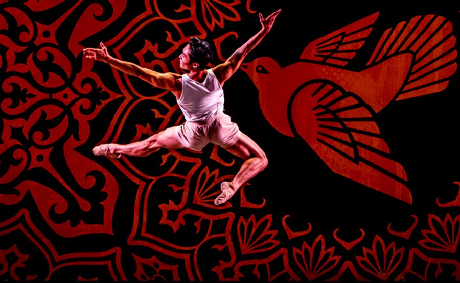 Exclusive Photos: Miami City Ballet Performs In BALLET ACROSS AMERICA at Kennedy Center Image